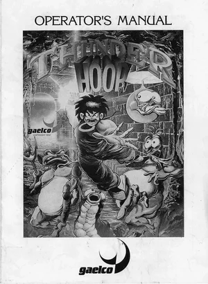 thunder hoop operation manual|gaelco|games|.webp