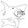 Shark Attack By Game Plan Inc manual
